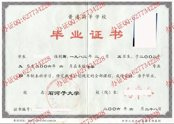 石子河大学2006年本科毕业证